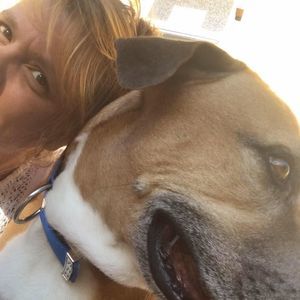 Meet your Posher, Tory